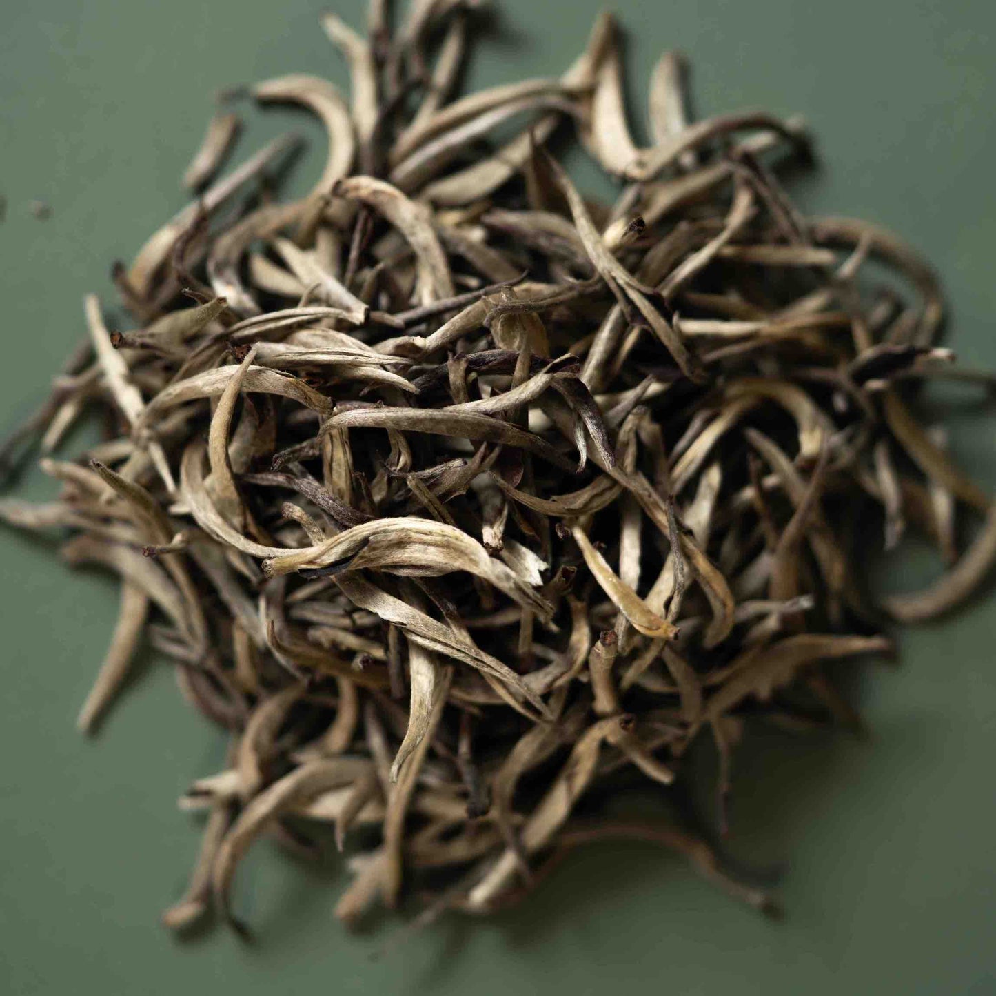Lanna Silver Needle
